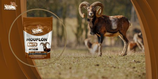 Quels sont les signes que l'attractif pour mouflon que j'utilise fonctionne ?