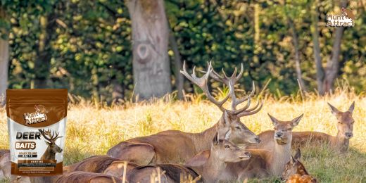 Comment évaluer la qualité d'un attractif pour cerfs et chevreuils ?